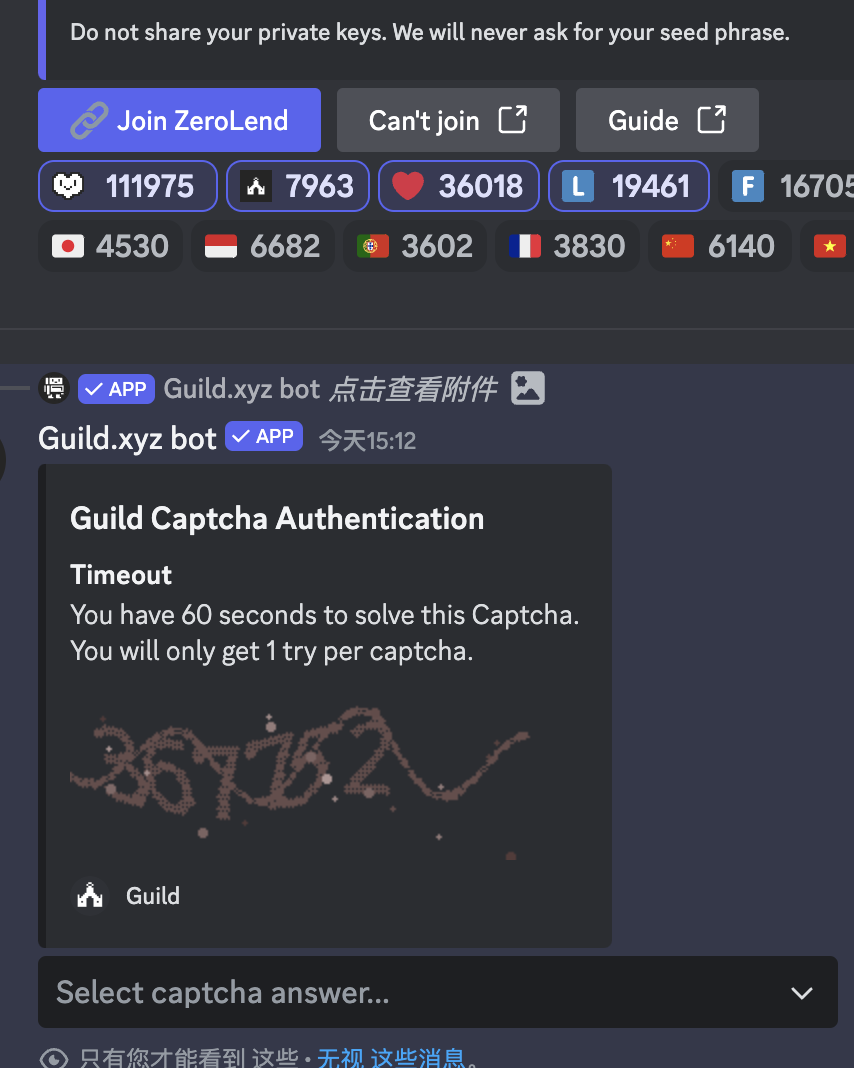 Discord 验证类型