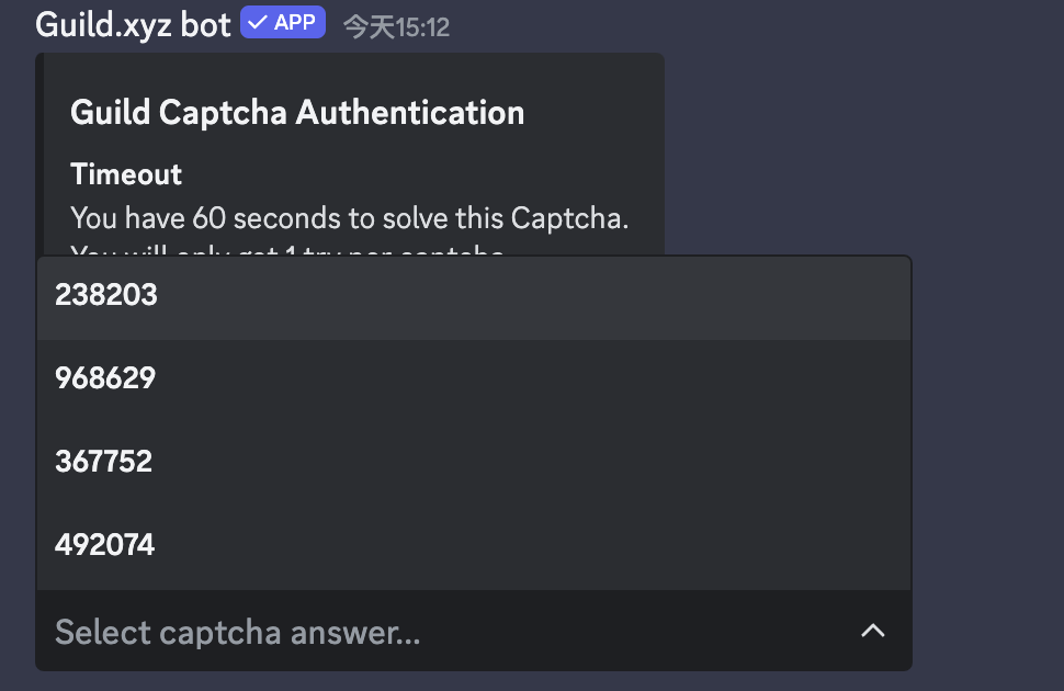 Discord 验证类型