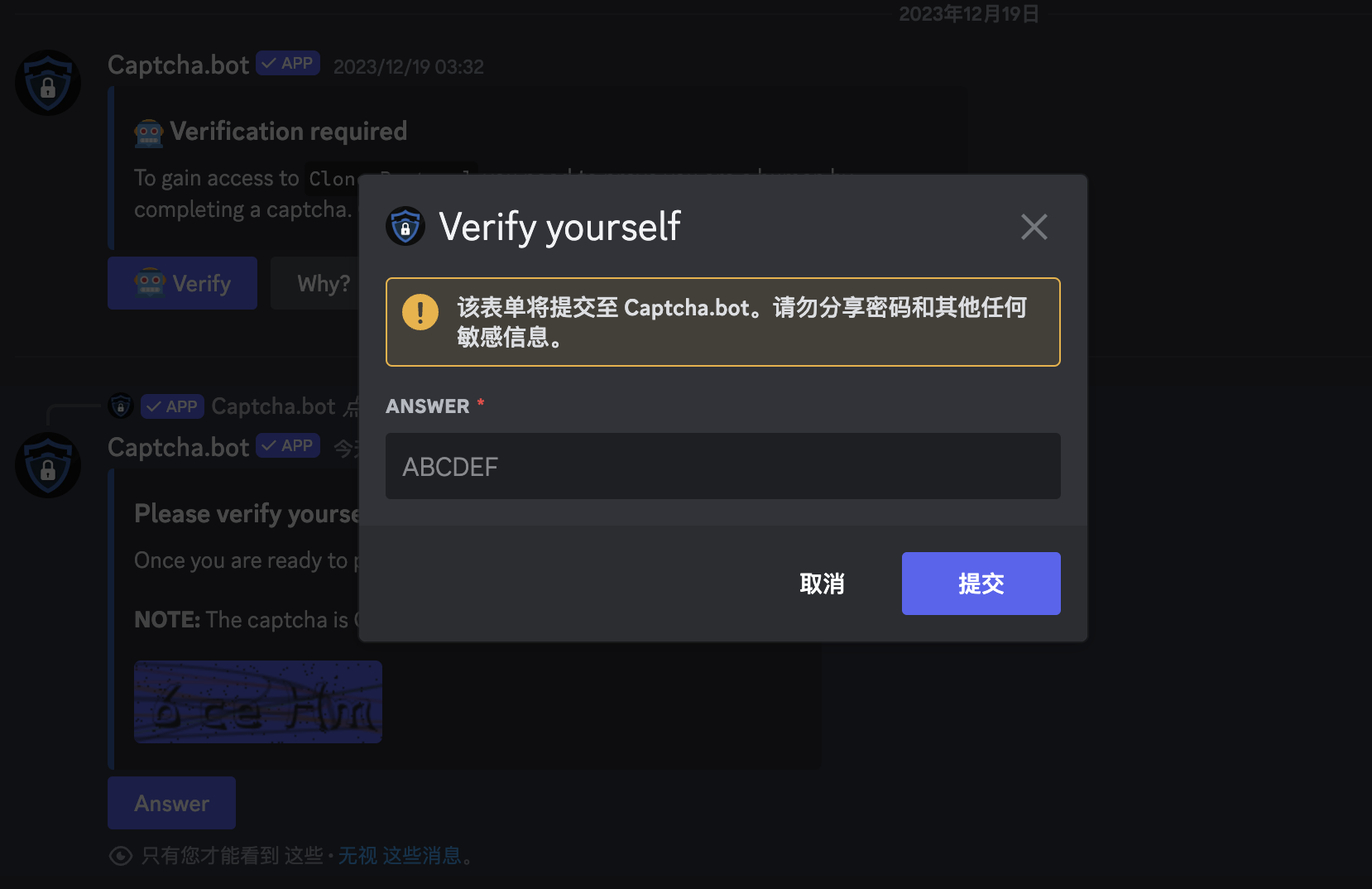 Discord 验证类型