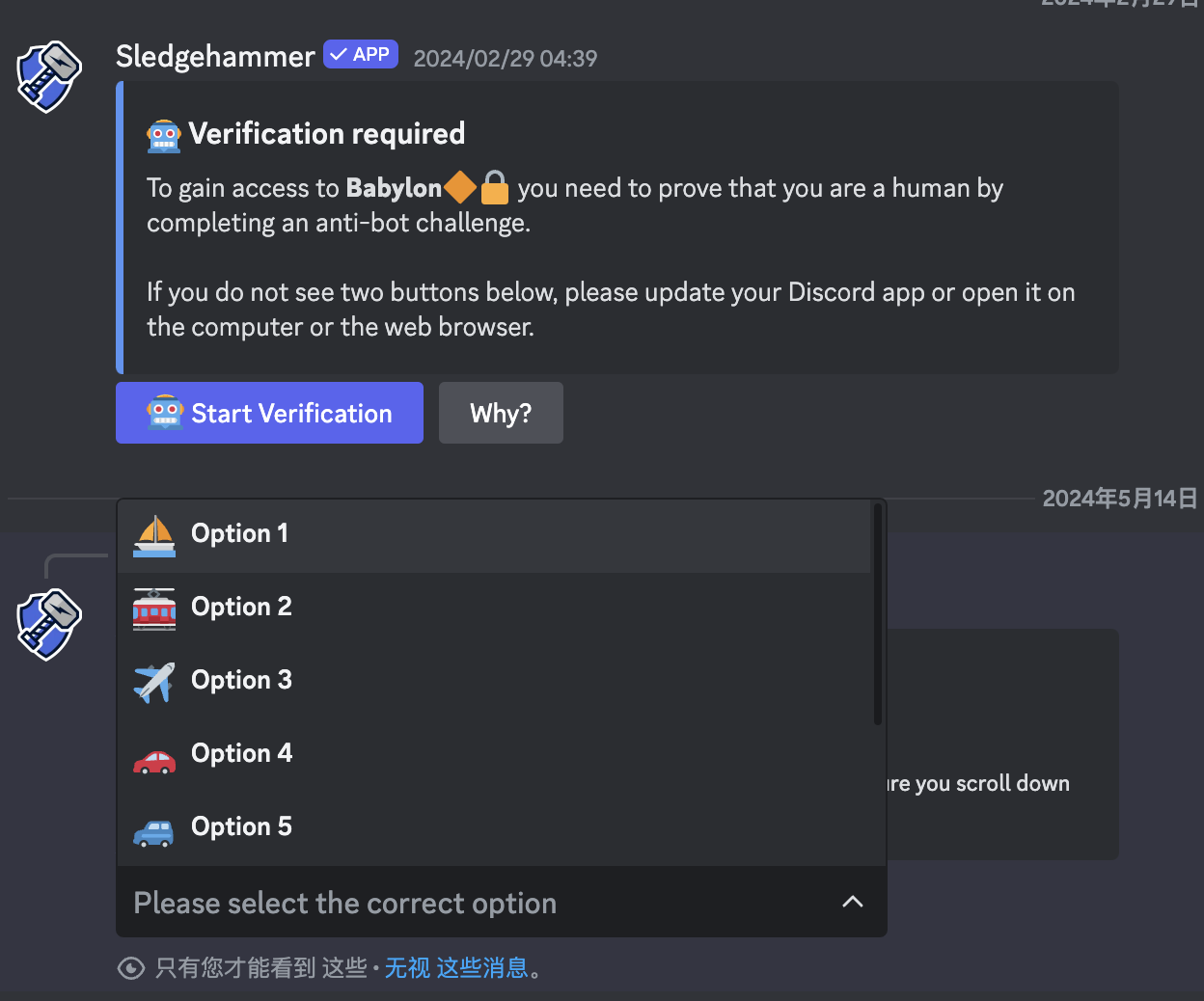 Discord 验证类型